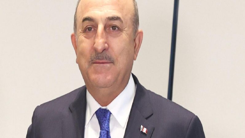 Bakan Çavuşoğlu’ndan İnsan Hakları Günü bildirisi