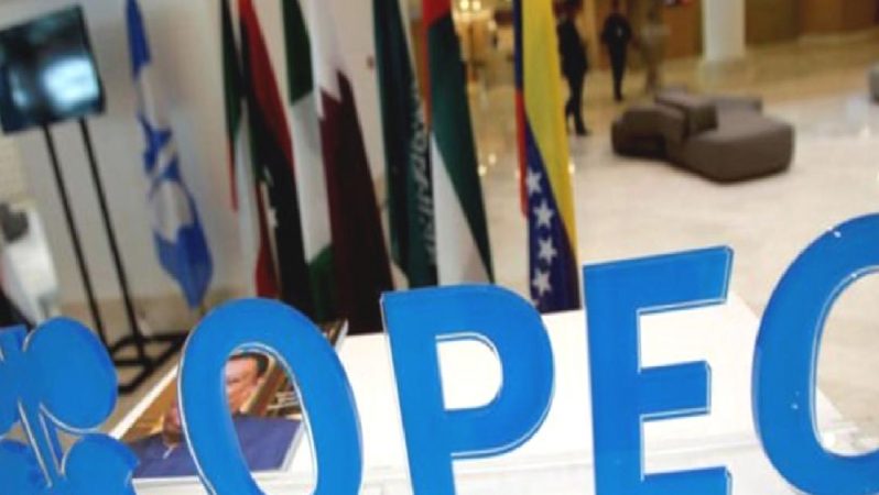 OPEC+ daha fazla üretim kesintisine gidebilir