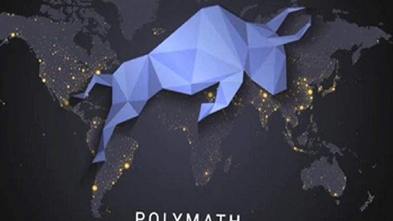 Polymath Nedir? POLY Coin