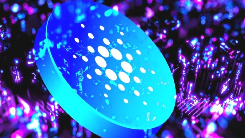 Cardano Stablecoin’i Djed Yayında!