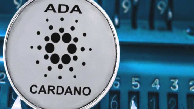 Cardano’nun TVL pahasının, yeni yılda rekor bir başlangıç yapmasının nedeni