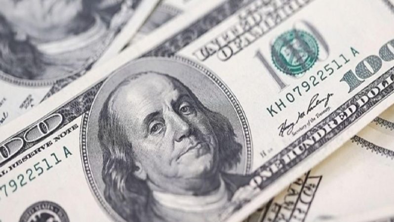 Döviz mevduatları iki haftada 6,1 milyar dolar arttı
