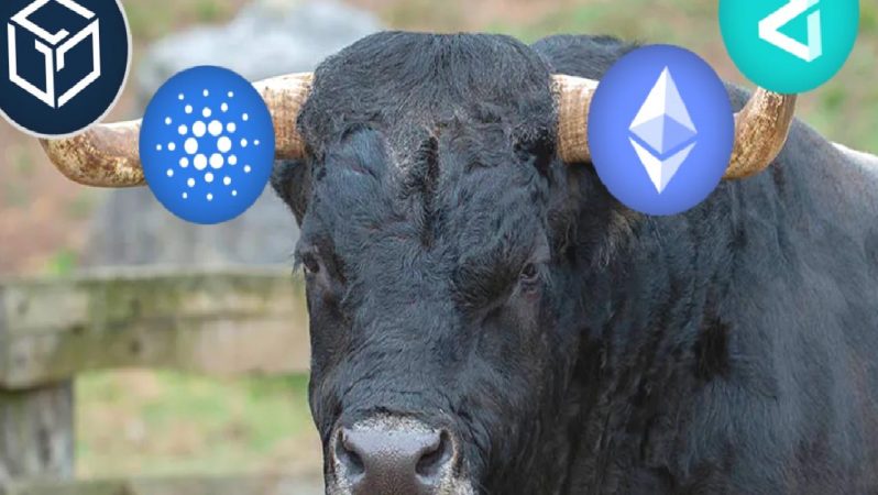 Kripto Paralar Yükseliyor, Altcoin Rallisi Başladı mı?