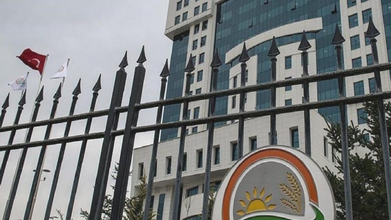 Orman Genel Müdürlüğü 1128 kontratlı orman koruma memuru alacak